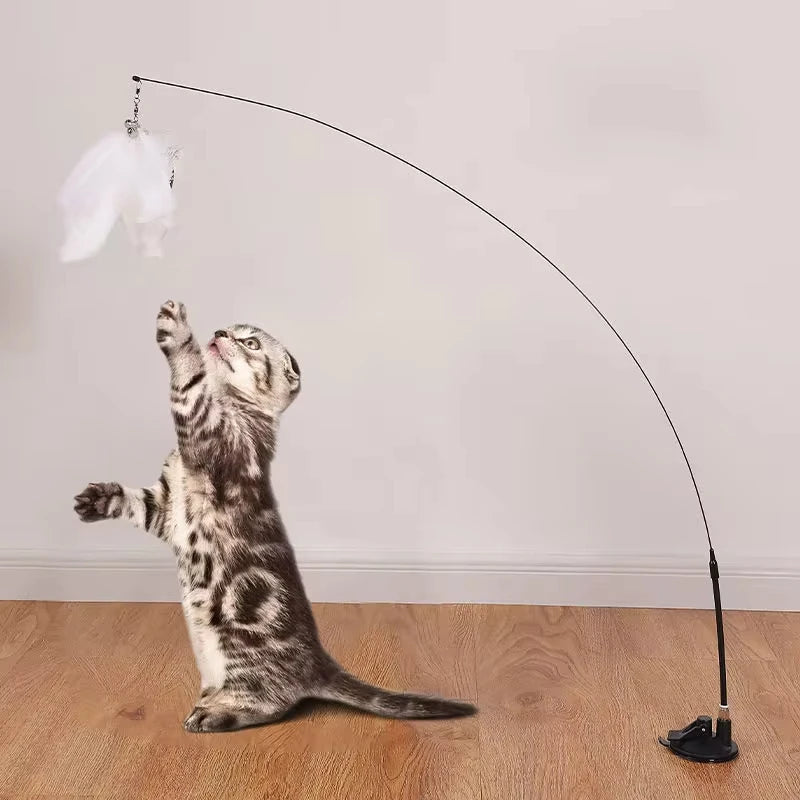 ficelle à ventouse avec plume pour chat