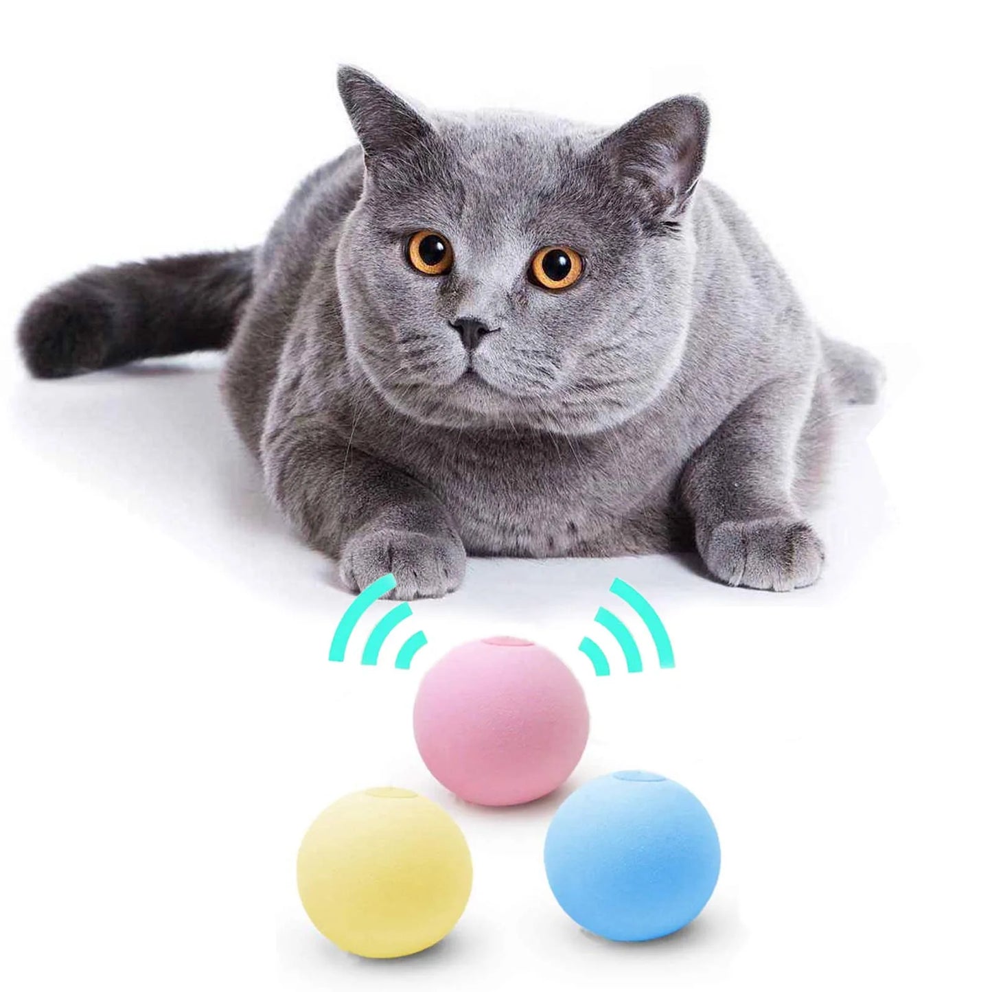 Petite balle de jeux pour chat