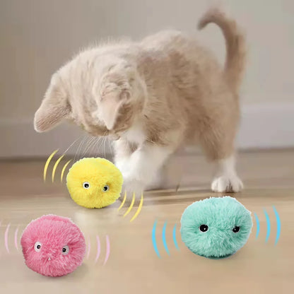 Petite balle de jeux pour chat